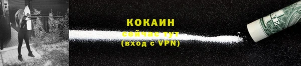 ешки Ладушкин