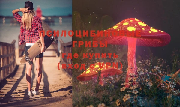 ешки Ладушкин