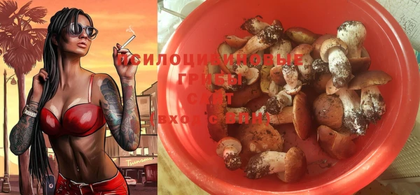 apvp Лабытнанги