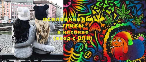 apvp Лабытнанги