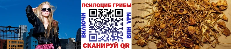 Галлюциногенные грибы мицелий  Купить  Лихославль 